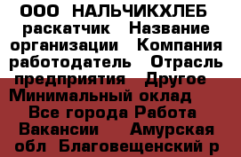 ООО "НАЛЬЧИКХЛЕБ" раскатчик › Название организации ­ Компания-работодатель › Отрасль предприятия ­ Другое › Минимальный оклад ­ 1 - Все города Работа » Вакансии   . Амурская обл.,Благовещенский р-н